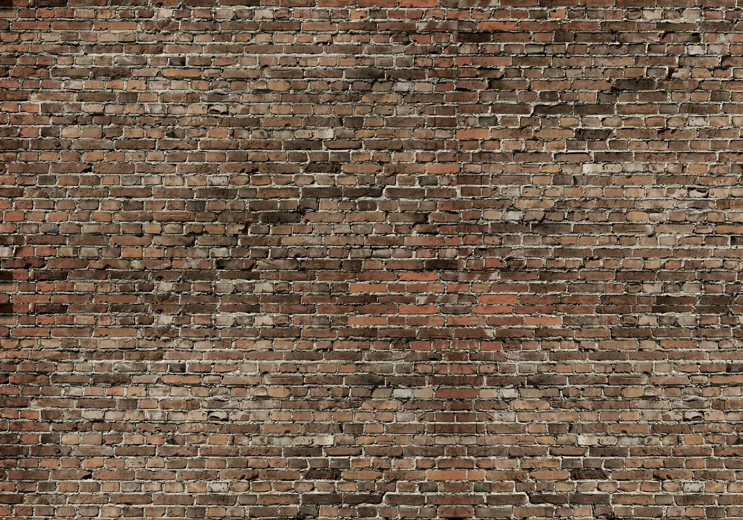 HomeBuy WIT BRICK Muur Print Stof voor Gordijnen Bekleding - Digitale Print Katoen Materiaal - wit bakstenen effect - 140cm breed (Verkocht door de meteen