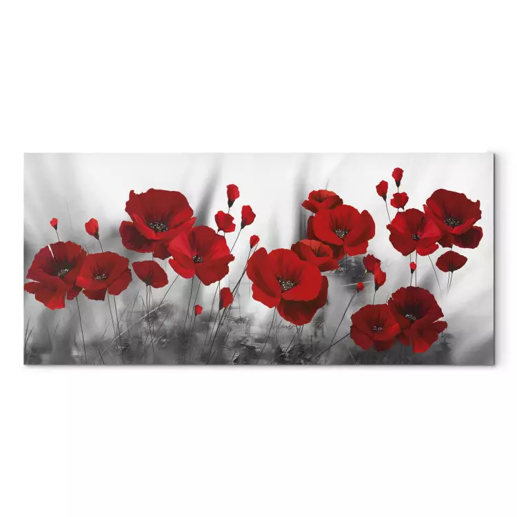 Rode klaprozen op een weide - romantische bloemen tegen een grijze achtergrond