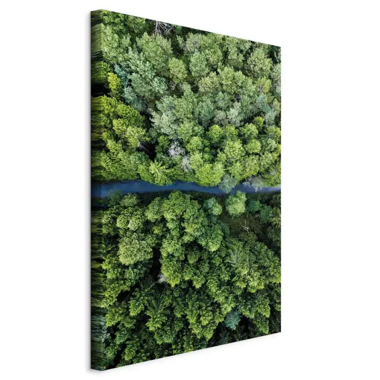 Weg door het bos verticaal
