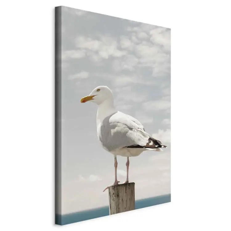 Observerende vogel - Meeuw tegen de achtergrond van de zee en bewolkte lucht