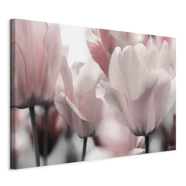 Lentebloemblaadjes - Tulpbloem in een roze tint