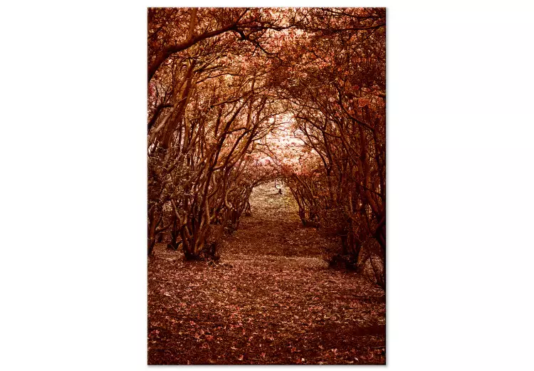 Een gang van bomen - een herfstlandschap van een pad in een bos
