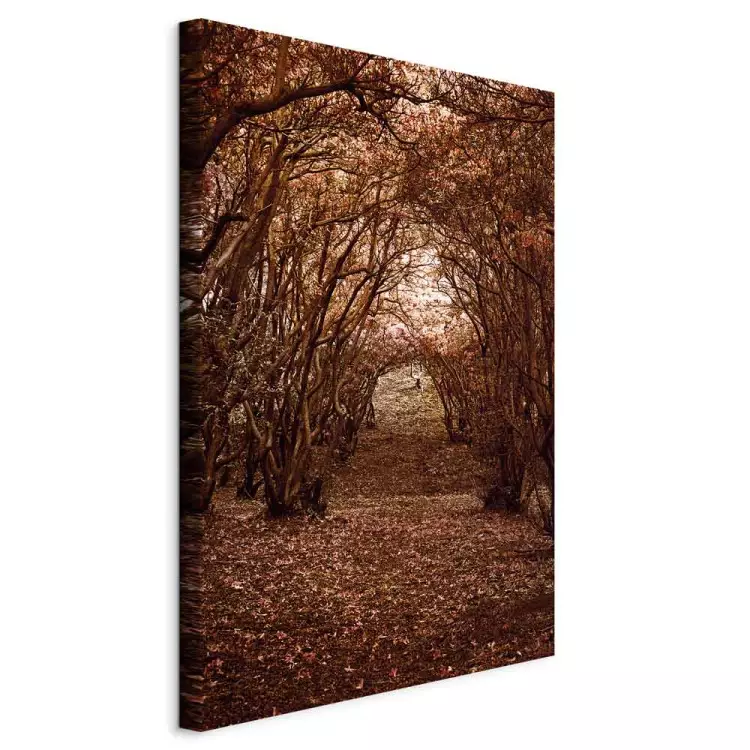 Een gang van bomen - een herfstlandschap van een pad in een bos