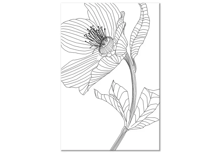 Geschetste bloem - zwart-witte contouren van de plant in lijnstijl