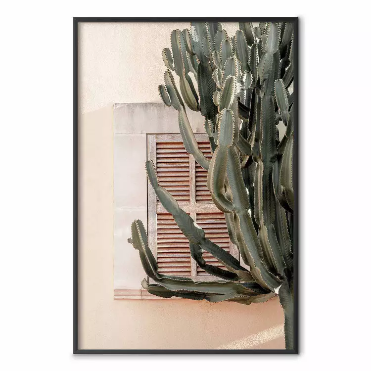 Groene Doornen - compositie met tropische planten op de achtergrond van architectuur