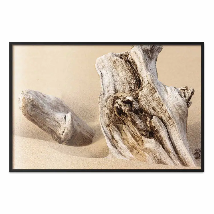 Ontdekt Verleden - strandlandschap met een stuk bruin hout