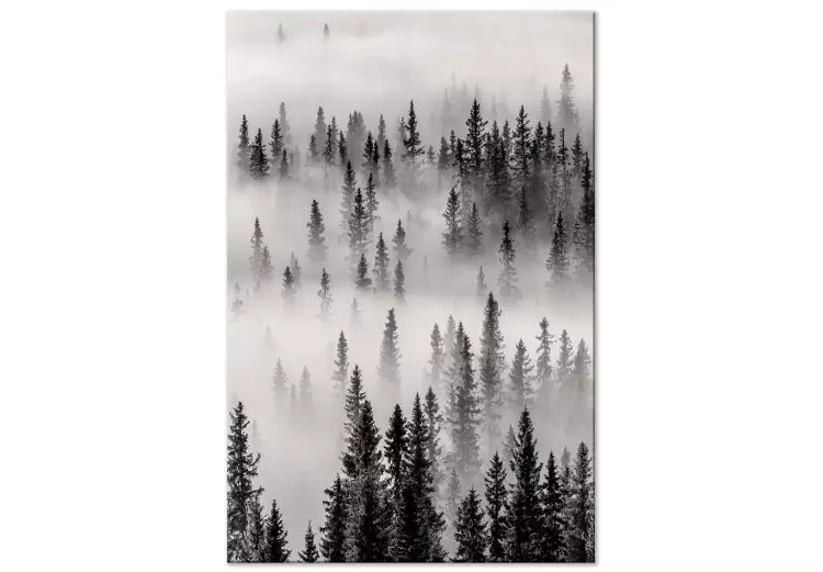 Moederbord (1-delig) verticaal - mistig donker boslandschap