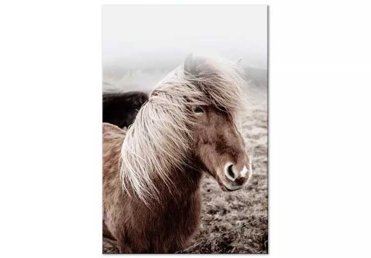 Tegen de wind in (1-delig) verticaal - paard in een portretfoto