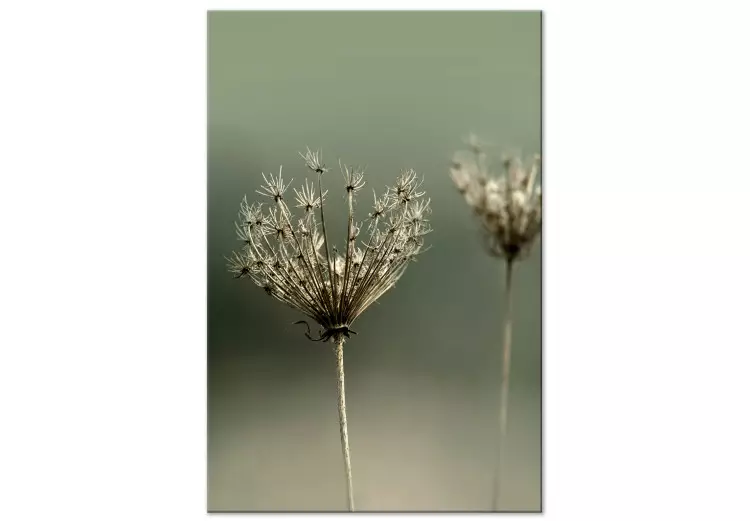 Verlangen naar afgelopen zomer (1-delig) verticaal - foto van bloemen