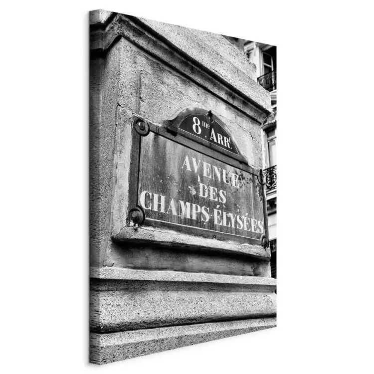 Champs-Elysees Avenue - zwart-wit afbeeldingen Parijs
