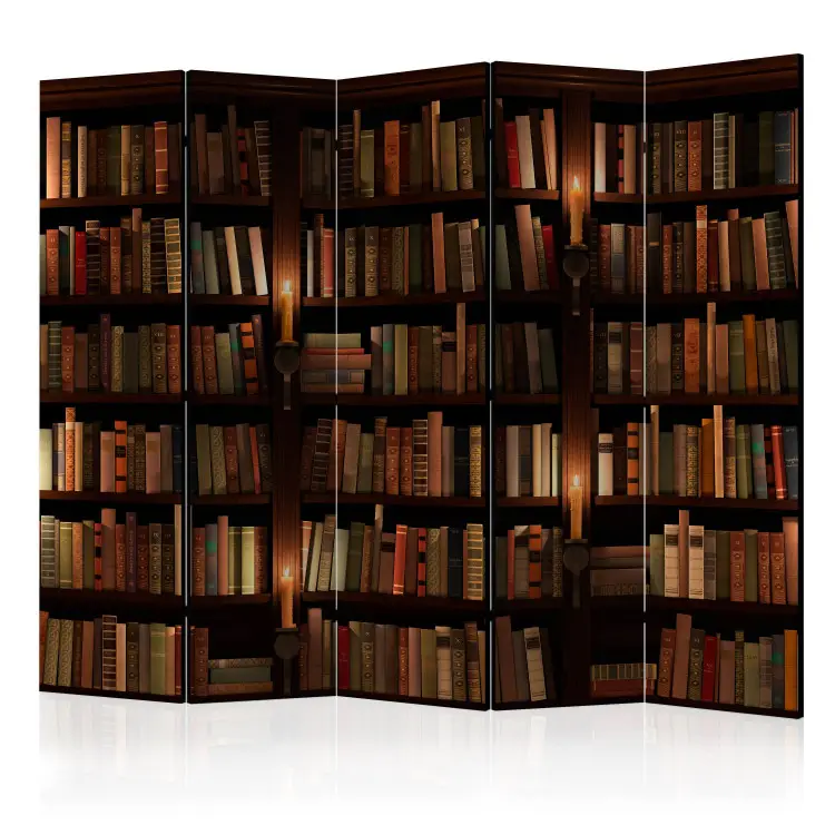 Boekenplanken II - donkere compositie met literatuur