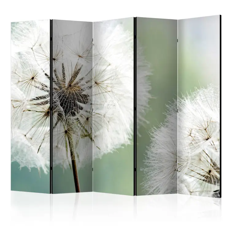 Twee paardebloemen II - Planten met witte bloemen op een lichtgroene achtergrond