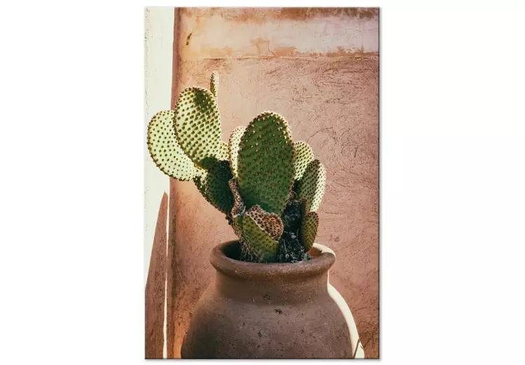 Cactus in pot (1-delige) verticaal - groene plant in Marokko