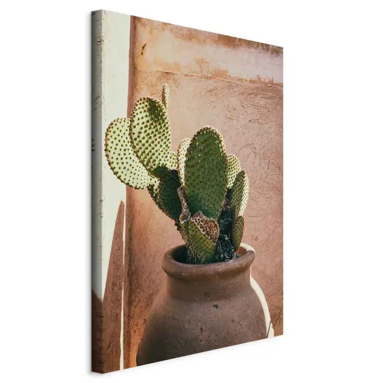 Cactus in pot verticaal - groene plant in Marokko