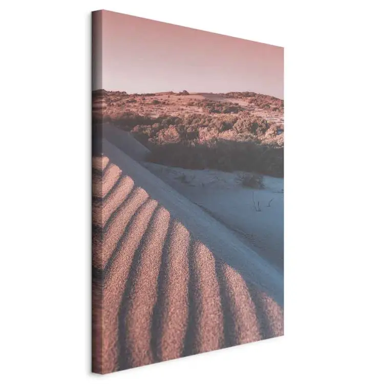 Roze zand verticaal - landschap van Arabische woestijn
