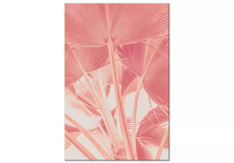 Roze palm - overbelichte afbeelding van palmbladeren in roze