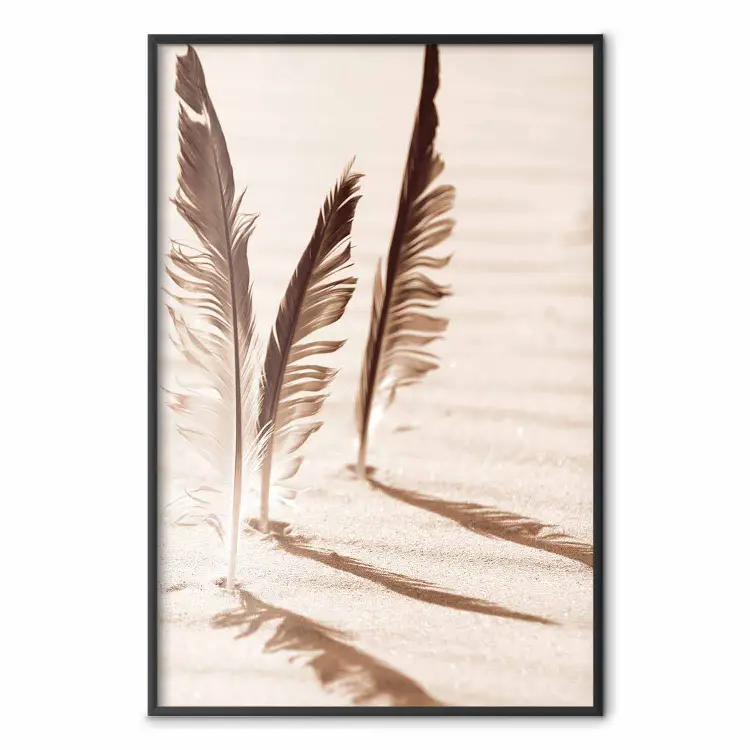 Schaduwrijke veren - mariene compositie van veren in het zand in sepia-kleuren