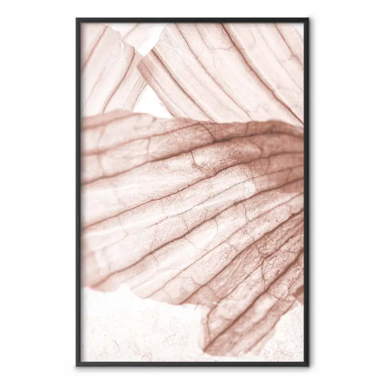 Geflankeerd licht - abstracte houttextuur in een lichte kleur