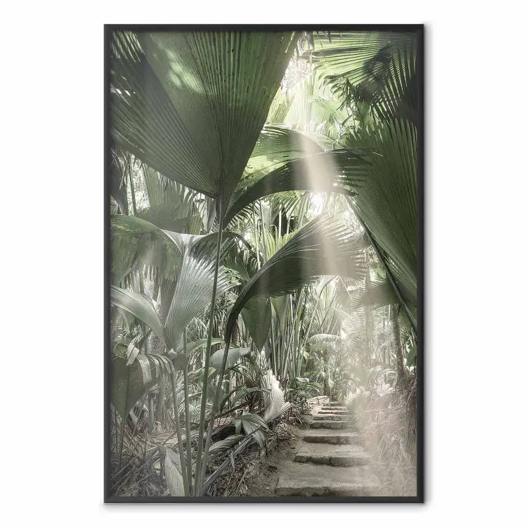 Lichtstraal - tropische compositie van groene jungle in het zonlicht