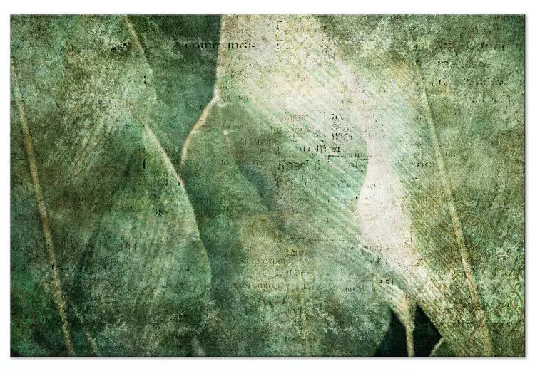 Enorme bladeren - een versleten afbeelding van de bladeren 