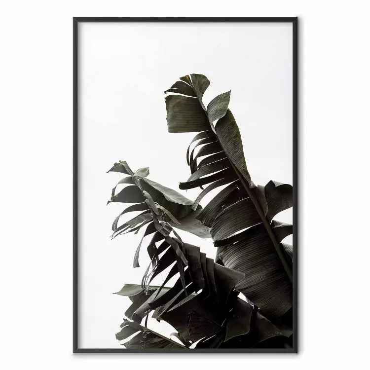Tropisch boeket - natuurlijke compositie van groene bladeren op een witte achtergrond