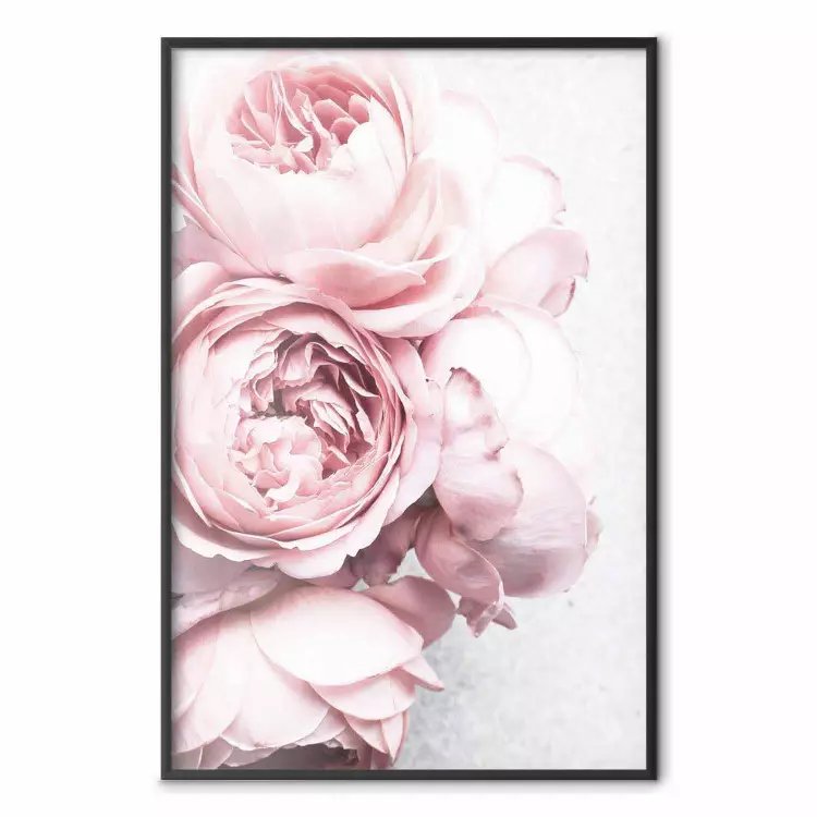 Rozengeur - romantische compositie van roze bloemen op een lichte achtergrond