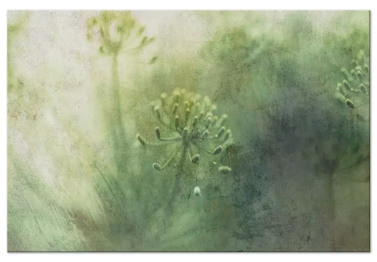 Mei bloemen in de mist - afbeeldingen met groene, wilde vegetatie