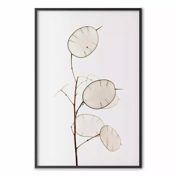 Zonnige richting - eenvoudige compositie van heldere planten op een witte achtergrond