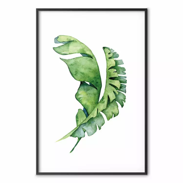 Verstrengelde bladeren - aquarel compositie met groene plant op wit