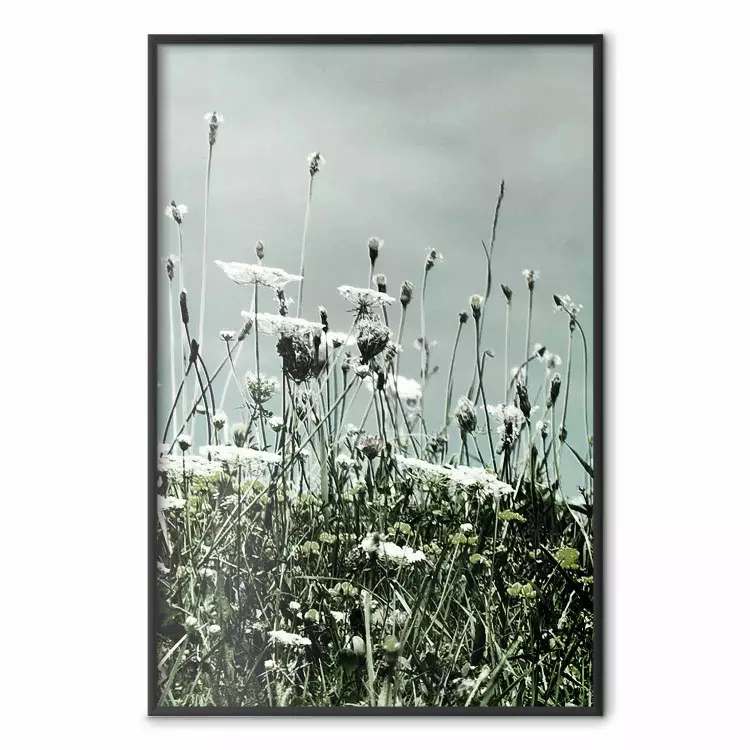 Midden van de zomer - landschap van een bloemrijk veld met bewolkte lucht op de achtergrond