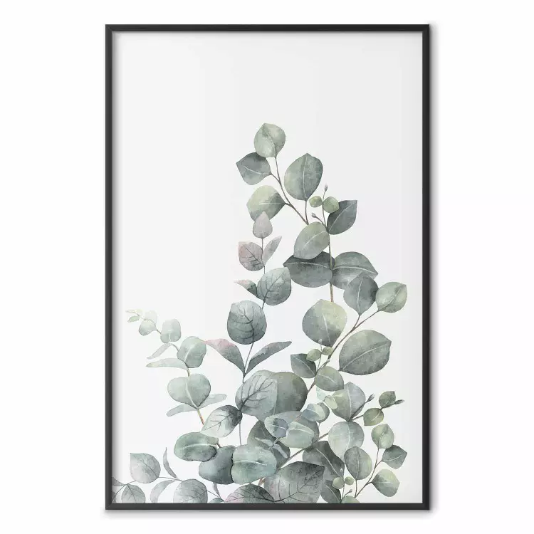 Eucalyptustakken - compositie met bladeren van een groene plant en een lichte achtergrond
