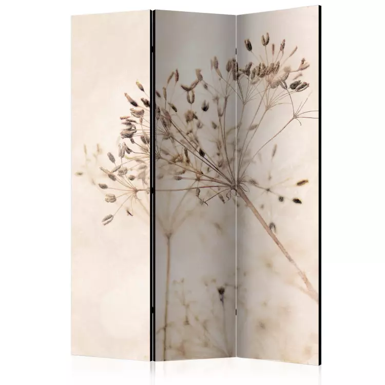 Rust en contemplatie (3-delig) - delicate planten op een beige achtergrond
