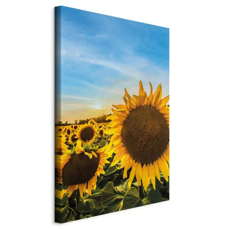 Bloemen van vrede verticaal - zonnebloemen op een uitgestrekt veld