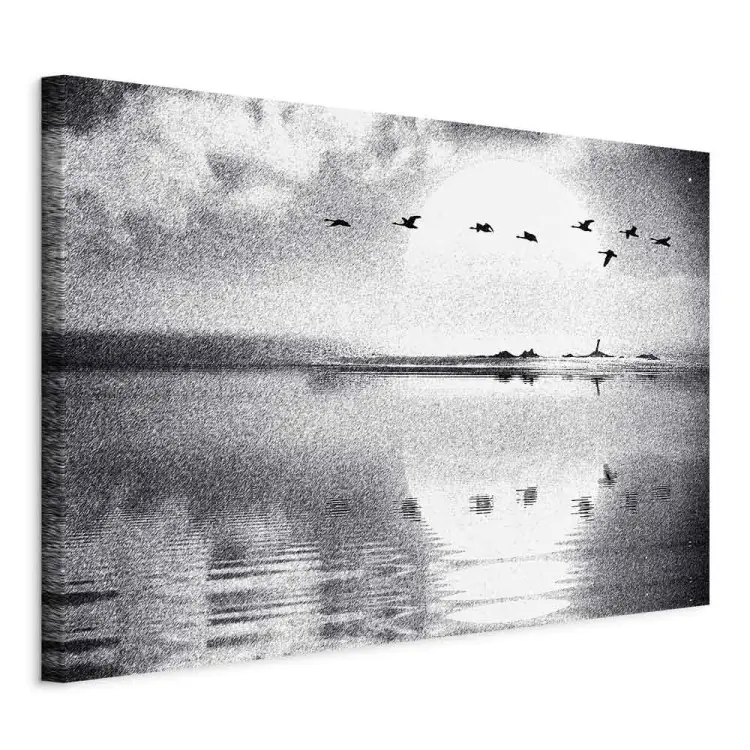 Vogelvlucht boven meer breed - zwart-wit landschap