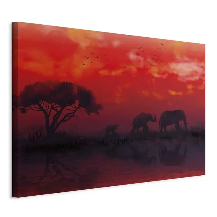 Afrikaans landschap breed - olifanten en rode lucht