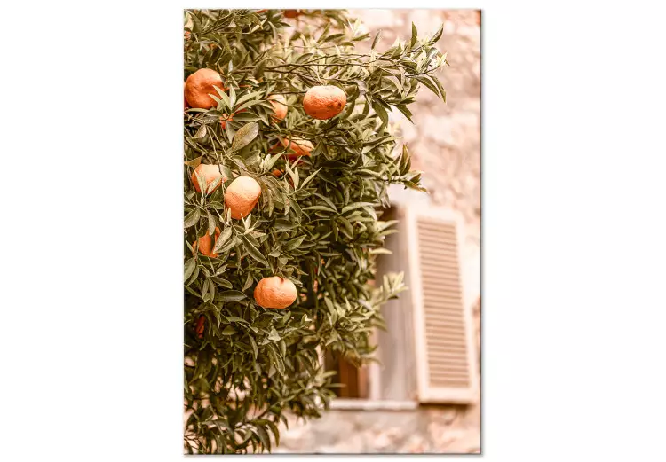 Stedelijk fruit (1-delig) - Mandarijnboom op de achtergrond van een gebouw