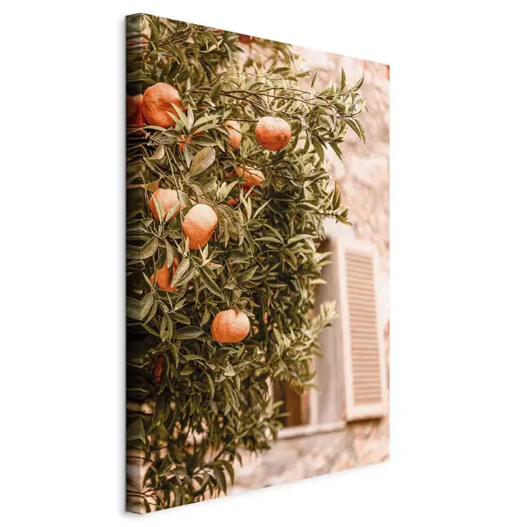 Stedelijk fruit - Mandarijnboom op de achtergrond van een gebouw