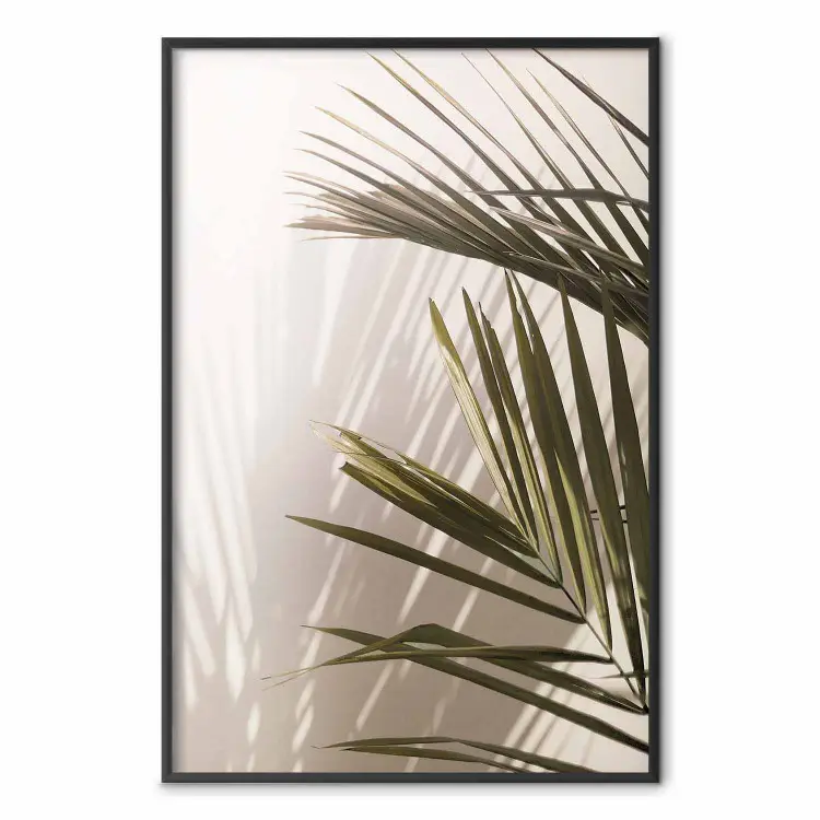 Palmbladeren - een zonnig uitzicht op een vredig samenspel van schaduw en licht