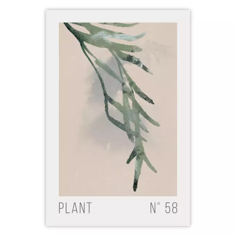 Plant nummer 58