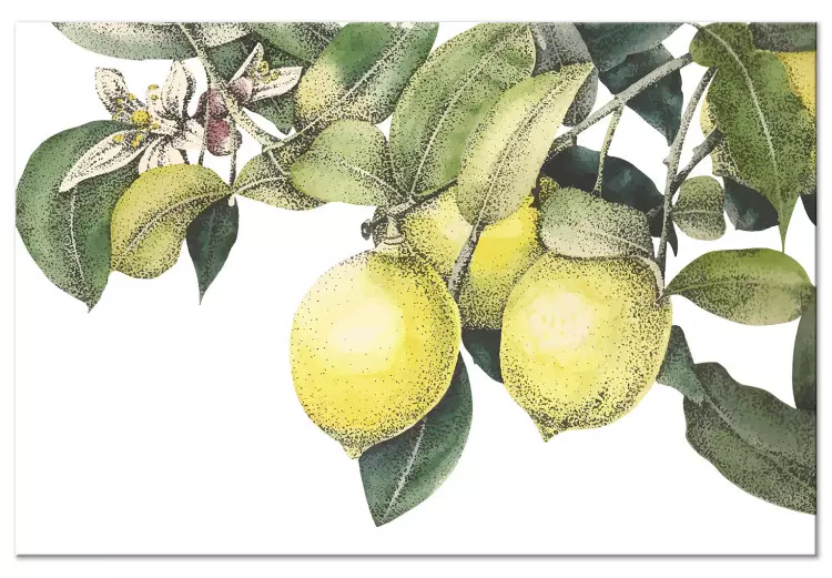 Citroenen en bladeren (1-delig) - kleurrijke citrusvruchten aan de boom