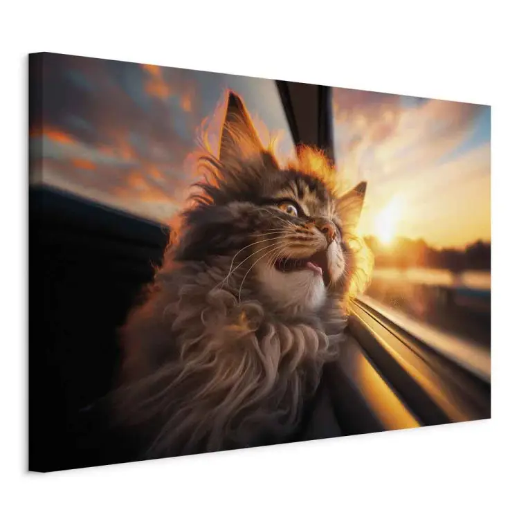 AI maine coon kat - huisdier op reis naar de zonsondergang - horizontaal