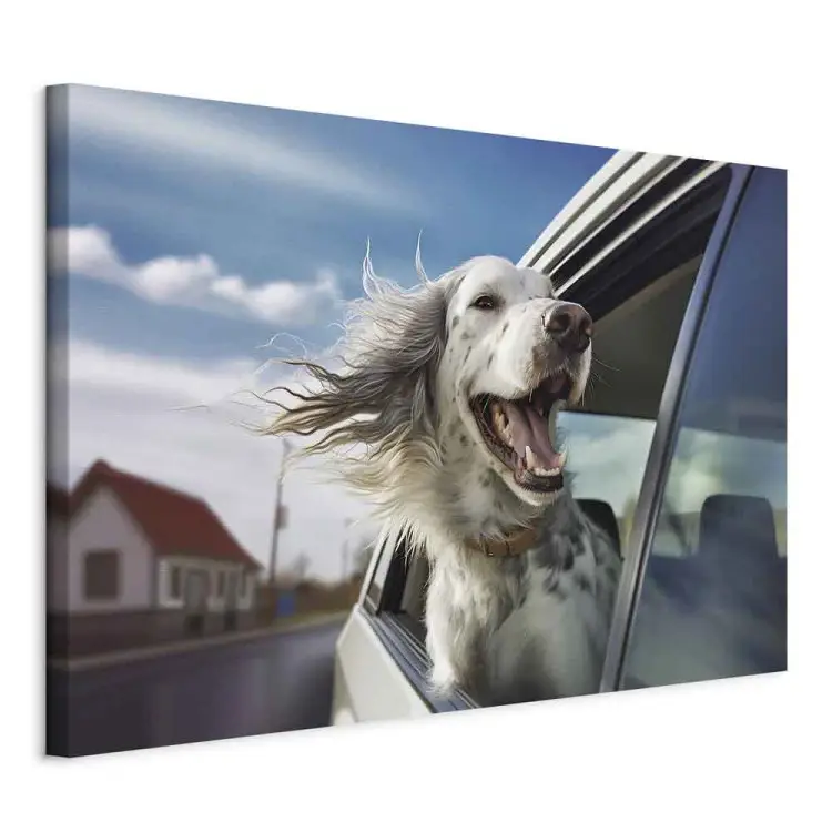 AI engelse setter hond - huisdier vangt een zuchtje lucht tijdens het reizen in een auto - horizontaal