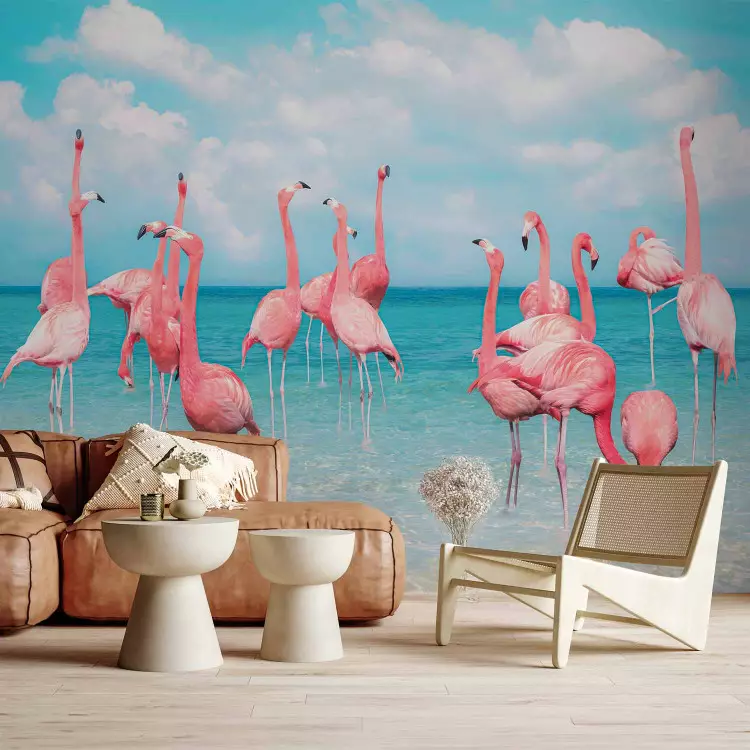 Kudde flamingo's - roze vogels in kristalhelder water