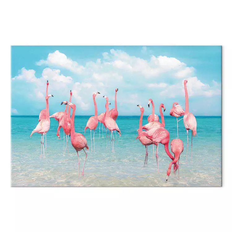 Tropische flamingo's - vogels in helder water onder een blauwe lucht
