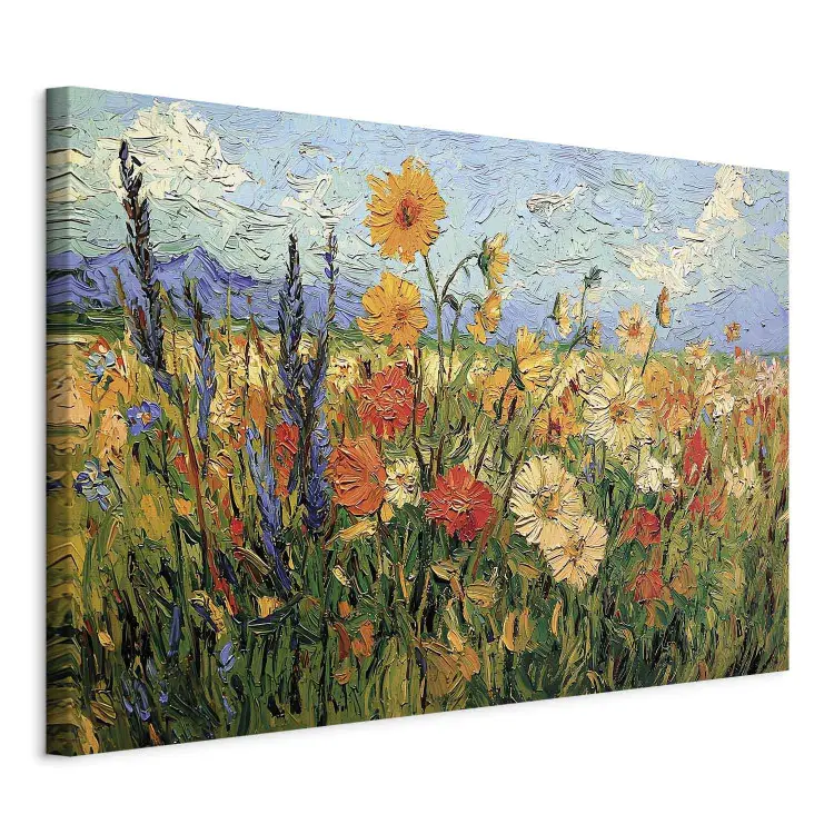 Bloemenweide - schilderachtige zomerse wei met kleurrijke bloemen