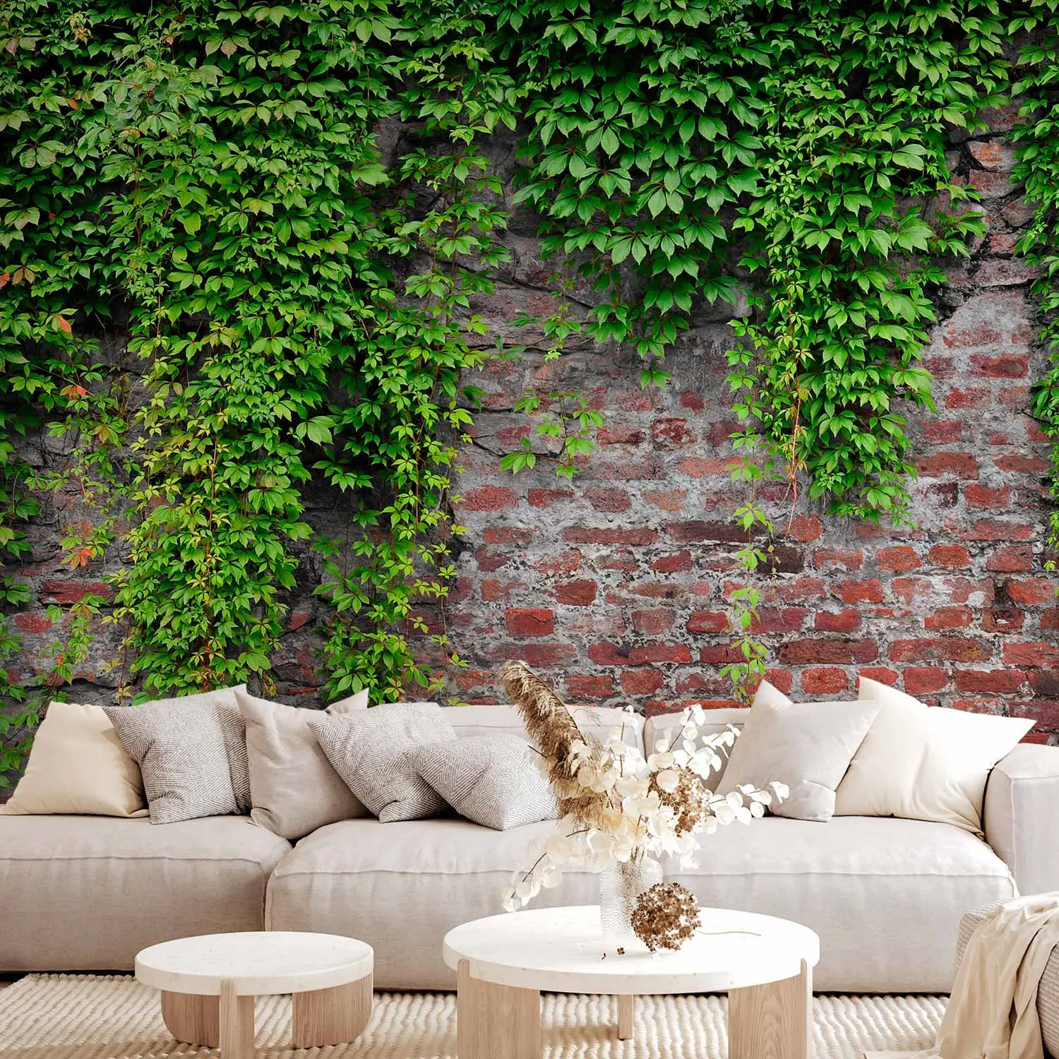 Wil jij wandplanten in je huis? Ga voor meer groen met onze LivePictures