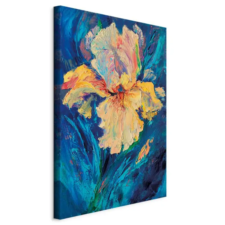 Prachtige iris