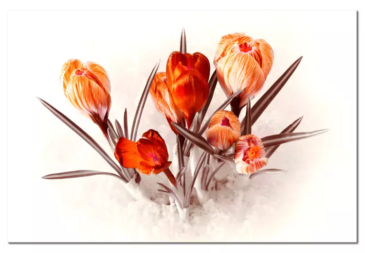 Rode krokussen (1-delig) - romantisch boeket lentebloemen